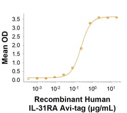 R&DSystems&trade;&nbsp;Recombinant Human IL-31RA Avi-tag His-tag Protein, CF
