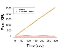 R DSystems Recombinant Human Aminopeptidase N/CD13 His Avi Protein, CF 10 &mu;g | Buy Online | R&amp;DSystems&trade; | Fisher Scientific
