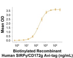 R&D Systems&trade;&nbsp;Recombinant Human SIRP gamma/CD172g Fc Avi-tag Protein