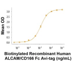 R&D Systems&trade;&nbsp;Recombinant Human ALCAM/CD166 Fc Chimera Avi-tag Protein