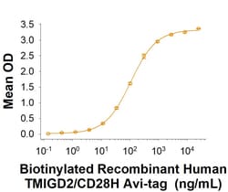 R&D Systems&trade;&nbsp;Recombinant Human TMIGD2/CD28H Fc Avi-tag Protein