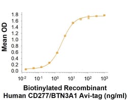 R&D Systems&trade;&nbsp;Recombinant Human CD277/BTN3A1 Fc Avi-tag Protein, CF