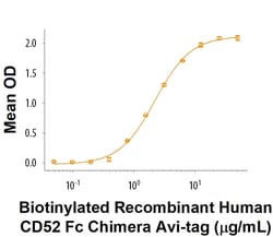 R&D Systems&trade;&nbsp;Recombinant Human CD52 Fc Chimera Avi-tag Protein