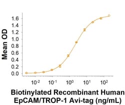 R&D Systems&trade;&nbsp;Recombinant Human EpCAM/TROP1 Avi-tag His-tag Protein