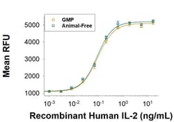 R&D Systems&trade;&nbsp;Recombinant Human IL-2 GMP Protein, CF