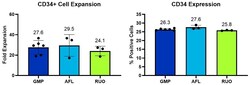 R D Systems Recombinant Human IL-3 GMP Protein, CF 50 &mu;g | Buy Online | R&amp;D Systems&trade; | Fisher Scientific