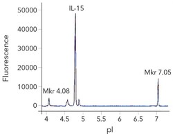 R D Systems Recombinant Human IL-15 GMP Protein, CF 10 &mu;g | Buy Online | R&amp;D Systems&trade; | Fisher Scientific