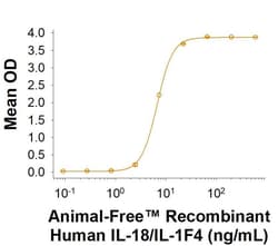 R D Systems Recombinant Human IL-18/IL-1F4 Protein, Animal-Free 1 mg | Buy Online | R&amp;D Systems&trade; | Fisher Scientific