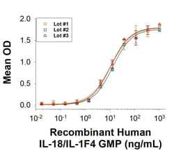 R D Systems Recombinant Human IL-18/IL-1F4 GMP Protein, CF 50 &mu;g | Buy Online | R&amp;D Systems&trade; | Fisher Scientific