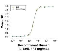 R&D Systems™ Recombinant Human IL-18/IL-1F4 GMP Protein, CF