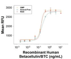 R D Systems Recombinant Human Betacellulin Protein, Animal-Free 50 &mu;g | Buy Online | R&amp;D Systems&trade; | Fisher Scientific