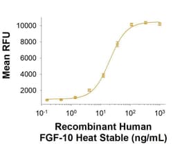 R&D Systems&trade;&nbsp;Recombinant Human FGF-10 Heat Stable Protein, CF
