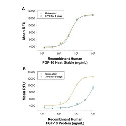 R D Systems Recombinant Human FGF-10 Heat Stable Protein, CF 500 &mu;g | Buy Online | R&amp;D Systems&trade; | Fisher Scientific