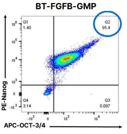 R&D Systems&trade;&nbsp;Recombinant Human FGF basic/FGF2/bFGF GMP Protein, CF