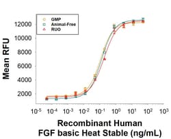 R&D Systems&trade;&nbsp;Recombinant Human FGF basic Heat Stable Protein, Animal-Free
