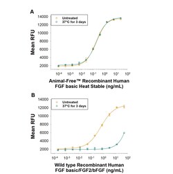 R D Systems Recombinant Human FGF basic Heat Stable Protein, Animal-Free 25 &mu;g | Buy Online | R&amp;D Systems&trade; | Fisher Scientific
