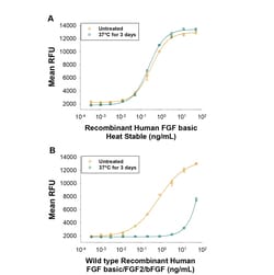 R&DSystems™ Recombinant Human FGF basic Heat Stable Protein, CF