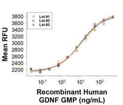 R&D Systems&trade;&nbsp;Recombinant Human GDNF GMP Protein, CF
