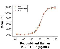 R D Systems Recombinant Human KGF/FGF-7 Protein, Animal-Free 50 &mu;g | Buy Online | R&amp;D Systems&trade; | Fisher Scientific