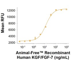 R D Systems Recombinant Human KGF/FGF-7 Protein, Animal-Free 50 &mu;g | Buy Online | R&amp;D Systems&trade; | Fisher Scientific