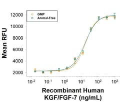 R D Systems Recombinant Human KGF/FGF-7 GMP Protein, CF 50 &mu;g | Buy Online | R&amp;D Systems&trade; | Fisher Scientific
