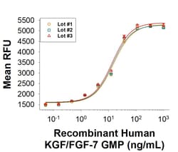 R&D Systems™ Recombinant Human KGF/FGF-7 GMP Protein, CF