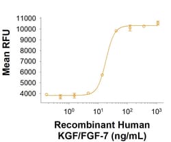 R D Systems Recombinant Human KGF/FGF-7 Protein, CF 50 &mu;g | Buy Online | R&amp;D Systems&trade; | Fisher Scientific