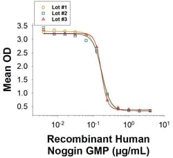R&D Systems&trade;&nbsp;Recombinant Human Noggin GMP Protein, CF