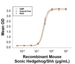 R D Systems Recombinant Mouse Sonic Hedgehog/Shh Protein, Animal-Free 500 &mu;g | Buy Online | R&amp;D Systems&trade; | Fisher Scientific