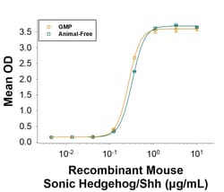 R D Systems Recombinant Mouse Sonic Hedgehog/Shh GMP Protein, CF 500 &mu;g | Buy Online | R&amp;D Systems&trade; | Fisher Scientific