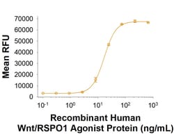 R D Systems Recombinant Human Wnt/RSPO1 Agonist Protein, CF 500 &mu;g | Buy Online | R&amp;D Systems&trade; | Fisher Scientific