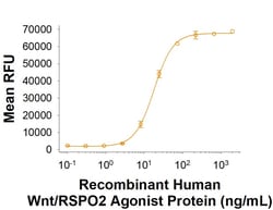 R D Systems Recombinant Human Wnt/RSPO2 Agonist Protein, CF 50 &mu;g | Buy Online | R&amp;D Systems&trade; | Fisher Scientific