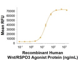 R D Systems Recombinant Human Wnt/RSPO3 Agonist Protein, CF 500 &mu;g | Buy Online | R&amp;D Systems&trade; | Fisher Scientific