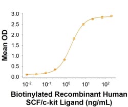 R D Systems Recombinant Human SCF/c-kit Ligand Biotinylated Protein 50 &mu;g | Buy Online | R&amp;D Systems&trade; | Fisher Scientific