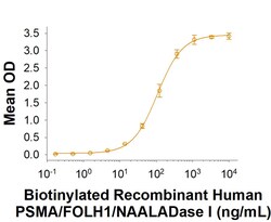 R&DSystems&trade;&nbsp;Recombinant Human PSMA/FOLH1/NAALADase I His Protein, CF