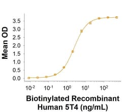 R D Systems Recombinant Human 5T4 Fc Chimera Biotinylated Protein, CF 100 &mu;g | Buy Online | R&amp;D Systems&trade; | Fisher Scientific