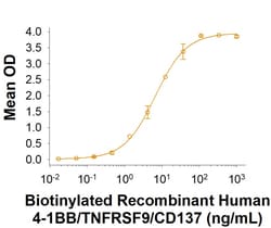 R&D Systems&trade;&nbsp;Recombinant Human 4-1BB/TNFRSF9 Fc His biotin Protein, CF