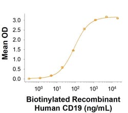 R&D Systems&trade;&nbsp;Recombinant Human CD19 Fc Chimera Biotinylated Protein, CF