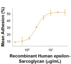 R&D Systems&trade;&nbsp;Recombinant Human epsilon-Sarcoglycan Fc Chimera Protein