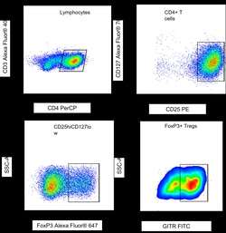 R D Systems Regulatory T Cell (Treg) Flow Cytometry Panel 1 paquete | Buy Online | R&amp;D Systems&trade; | Fisher Scientific