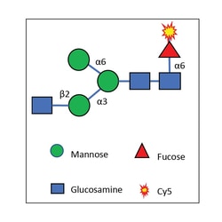 R&D Systems&trade;&nbsp;Cy5-Fuc Labeled M1N1f