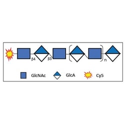 R&D Systems&trade;&nbsp;Cy5 Labeled Hyaluronan (Low MW)