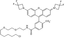 Tocris Bioscience Janelia Fluor 525, Haloalkane 10 &mu;g | Buy Online | Tocris Bioscience&trade; | Fisher Scientific