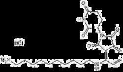 Tocris Bioscience Pomalidomide 4'-alkylC10-amine 25 mg | Buy Online | Tocris Bioscience&trade; | Fisher Scientific