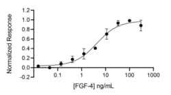 R D Systems Recombinant Human FGF-4, Animal-Free Protein 50 &mu;g | Buy Online | R&amp;D Systems&trade; | Fisher Scientific