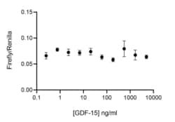 R D Systems Recombinant Human GDF-15, Animal-Free Protein 50 &mu;g | Buy Online | R&amp;D Systems&trade; | Fisher Scientific