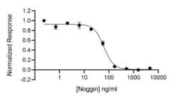 R D Systems Recombinant Mouse/Rat Noggin, Animal-Free Protein 500 &mu;g | Buy Online | R&amp;D Systems&trade; | Fisher Scientific