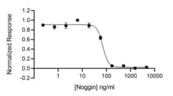 R D Systems Recombinant Human Noggin, Animal-Free Protein 500 &mu;g | Buy Online | R&amp;D Systems&trade; | Fisher Scientific