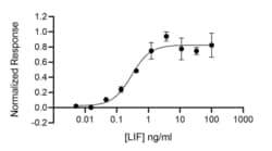 R&D Systems&trade;&nbsp;Recombinant Human LIF, Animal-Free Protein