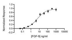 R&D Systems&trade;&nbsp;Recombinant Human FGF-9, Animal-Free Protein
